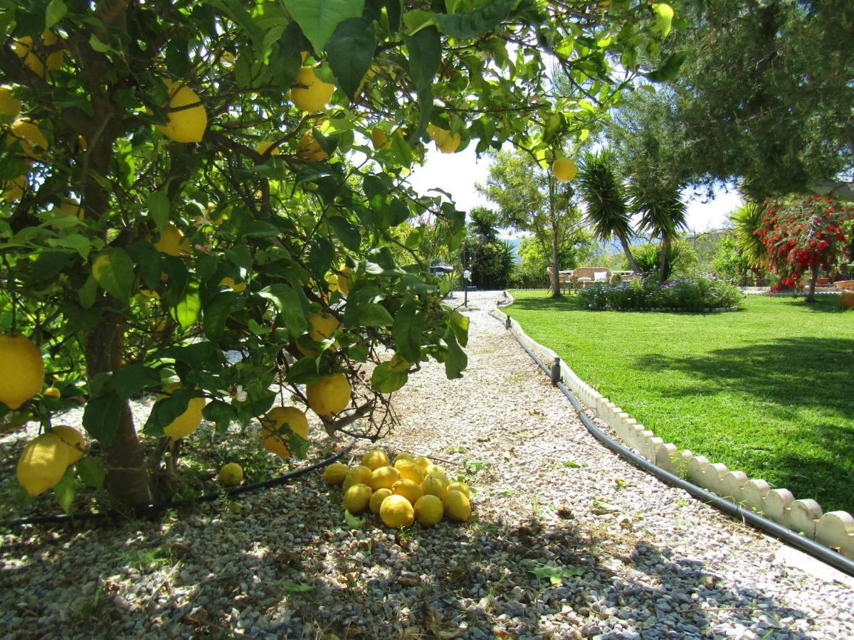 Escuela La Crujia Bed and Breakfast Velez Malaga Buitenkant foto